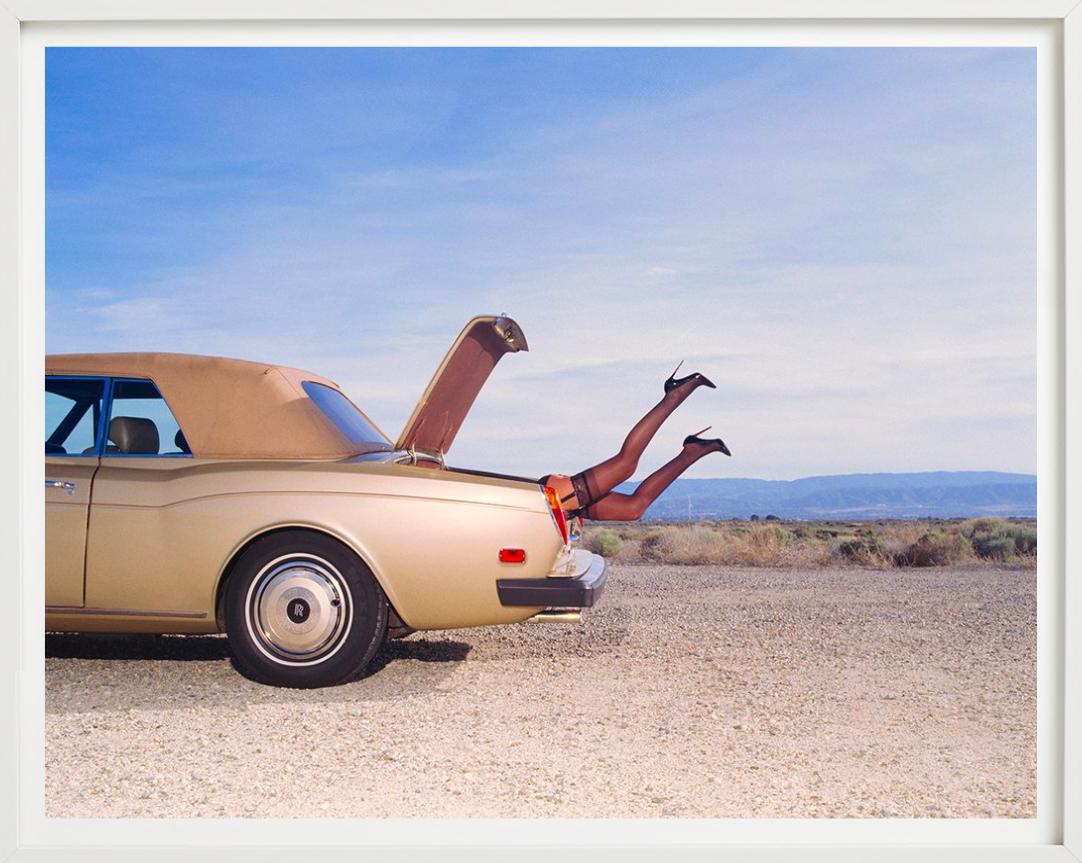Trunk, Fine Art Photography For Sale 4