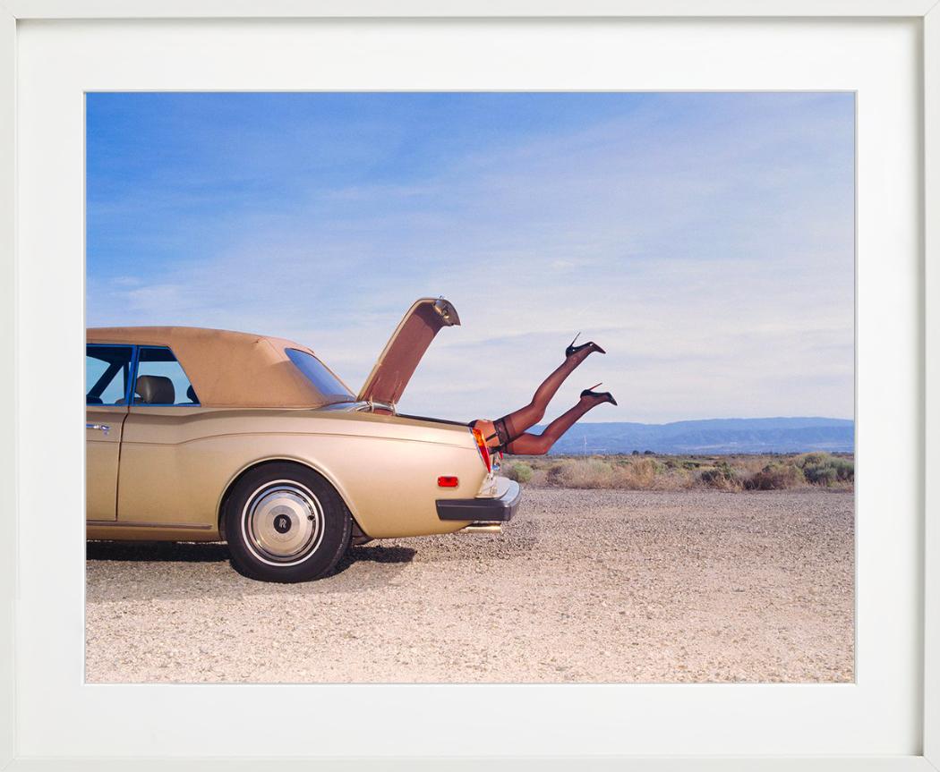 Trunk, Fine Art Photography For Sale 5
