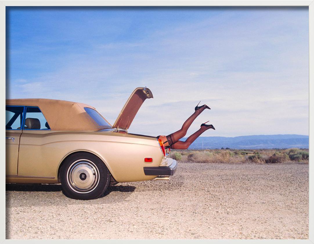 Trunk, Fine Art Photography For Sale 6