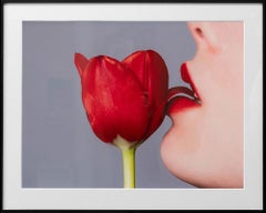 Tuliip