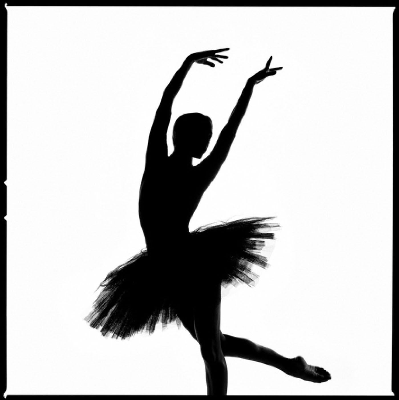 Series: Silhouette
Chromogenic Print on Kodak Endura Luster Paper
All available sizes and editions:
18" x 18"
30" x 30"
45" x 45"
60" x 60"
70" x 70"
Editions of 3 + 2 Artist Proofs

Tyler Shields is a photographer, film director, and writer, best