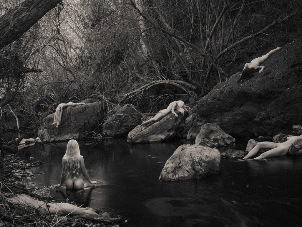 Tyler Shields - Une grenouille sur l'eau, photographie de 2015