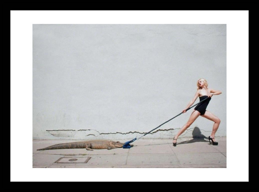 Tyler Shields - Birkin Tug Of War, Photography 2012, Printed After For Sale 1