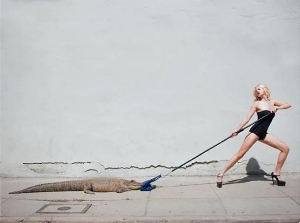 Tyler Shields - Birkin Tug Of War, Photography 2012, Printed After