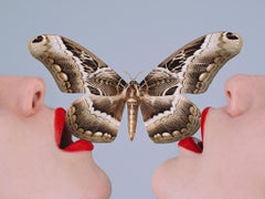 Tyler Shields - Butterfly (Framed), Photography 2015, Printed After