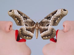 Tyler Shields - Schmetterling,  Fotografie 2017, Nachdruckt nach dem Vorbild