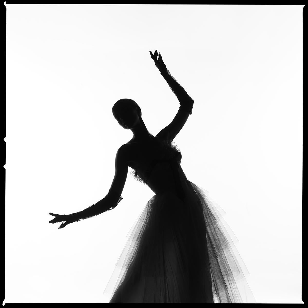 Tyler Shields - Kleid Silhouette, Fotografie 2020, gedruckt nach