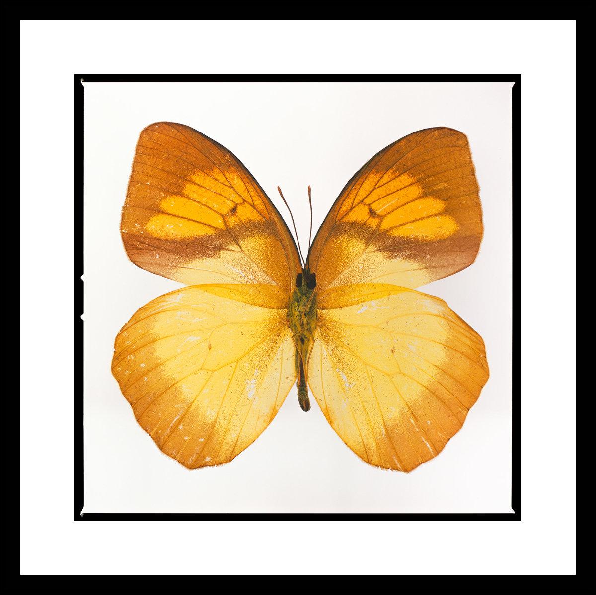 Tyler Shields – Finding Beauty, Photography 2019, Druck nach 1