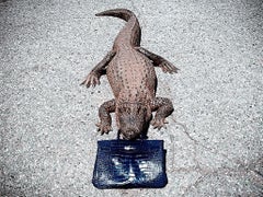 Tyler Shields - Gator (45" x 60")