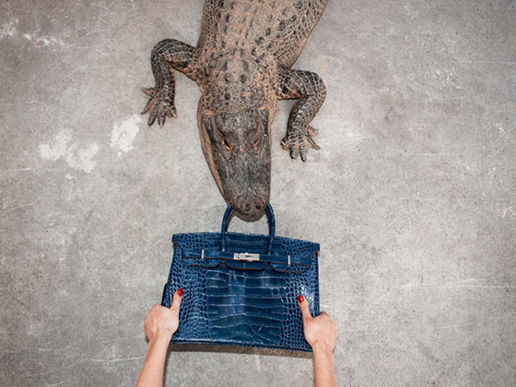 Tyler Shields - Gator Birkin Hands, Photography 2012, Printed After