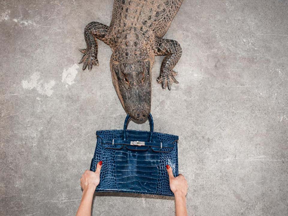 Tyler Shields - Gator Birkin Hands, Photography 2012, Printed After