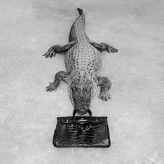 Tyler Shields - Gator Birkin Monochrome, photographie 2014