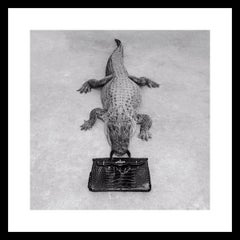 Tyler Shields - Gator Birkin Monochrome, Photography 2014, Printed After