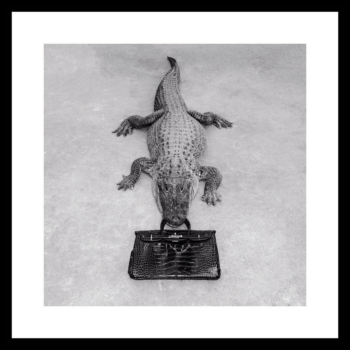 Tyler Shields - Gator Birkin Monochrome, photographie 2014, imprimée d'après en vente 1