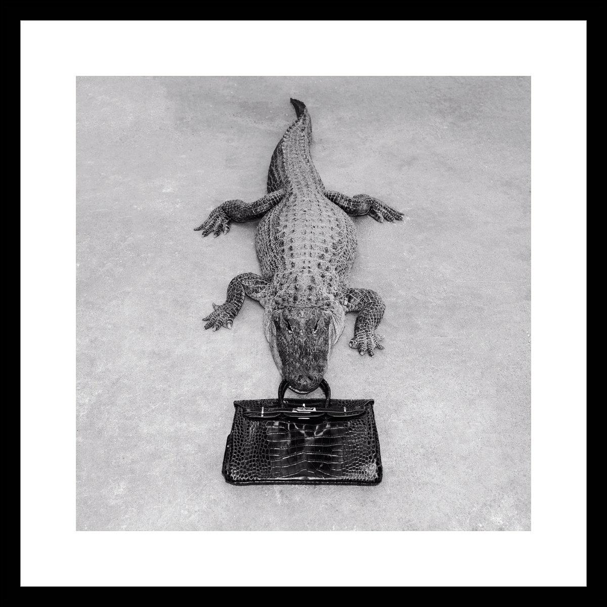 Tyler Shields - Gator Birkin Monochrome, Fotografie 2014, Nachgedruckt im Angebot 1