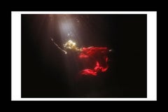 Tyler Shields - Goddess, Photography 2013, Printed After