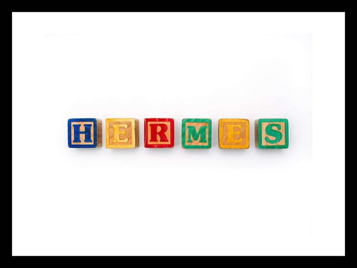 Tyler Shields - HERMES (63