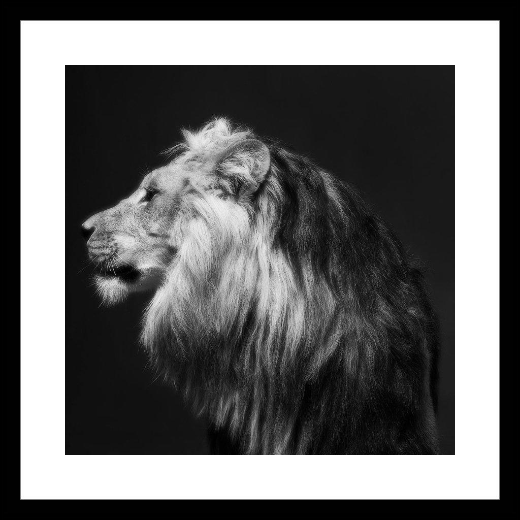 Tyler Shields - Mondscheinsonate, Fotografie 2018, Nachgedruckt im Angebot 1