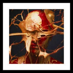 Tyler Shields - Red and Gold, Photography 2019, Printed After