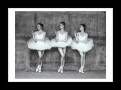 Tyler Shields - Smoking Swans, Photography 2014, Printed After