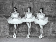 Tyler Shields - Smoking Swans, Photography 2014, Printed After