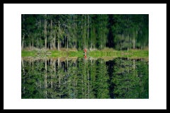 Tyler Shields - The Lake's Edge, Photography 2020, Printed After
