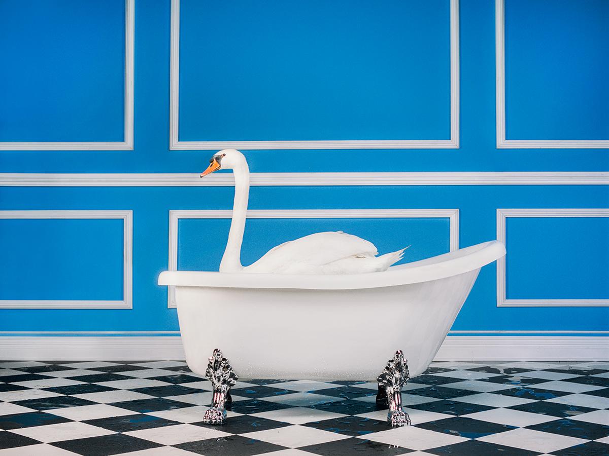 Tyler Shields - The Swan, Photography 2020, Printed After
