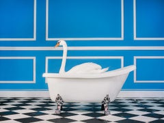Tyler Shields - Il Cigno, Fotografia 2020, Stampa Dopo