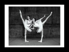 Tyler Shields - The Swans, Photography 2015, Printed After