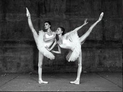 Tyler Shields - The Swans, Photography 2015, Printed After