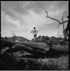 Tyler Shields - The Tree Trunk, Photography 2024, Printed After