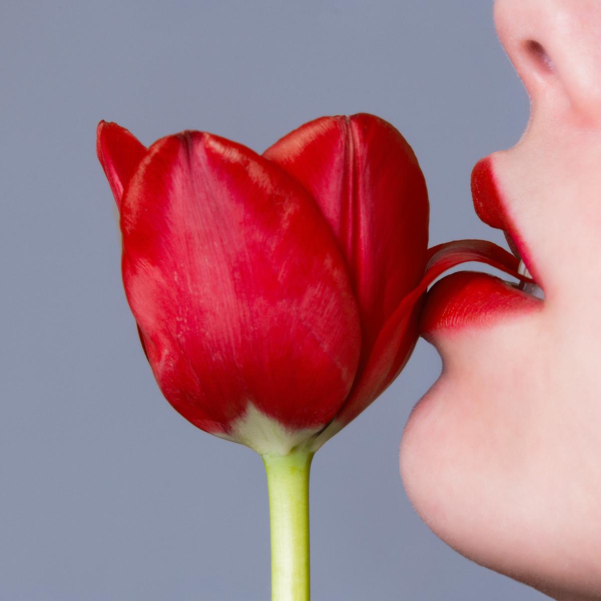 Serie: Flores
Impresión cromogénica en papel Kodak Endura Luster
Tallas disponibles:
18" x 18"
30" x 30"
45" x 45"
60" x 60"
70" x 70"
Ediciones de 3 + 2 pruebas de artista

Tyler Shields es fotógrafo, director de cine y escritor, más conocido por
