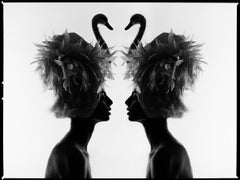 Tyler Shields - Zwei Schwäne, Fotografie 2020, gedruckt nach