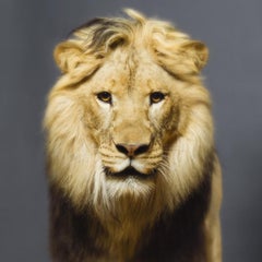 Tyler Shields - Luke, Fotografie 2018, Nachgedruckt