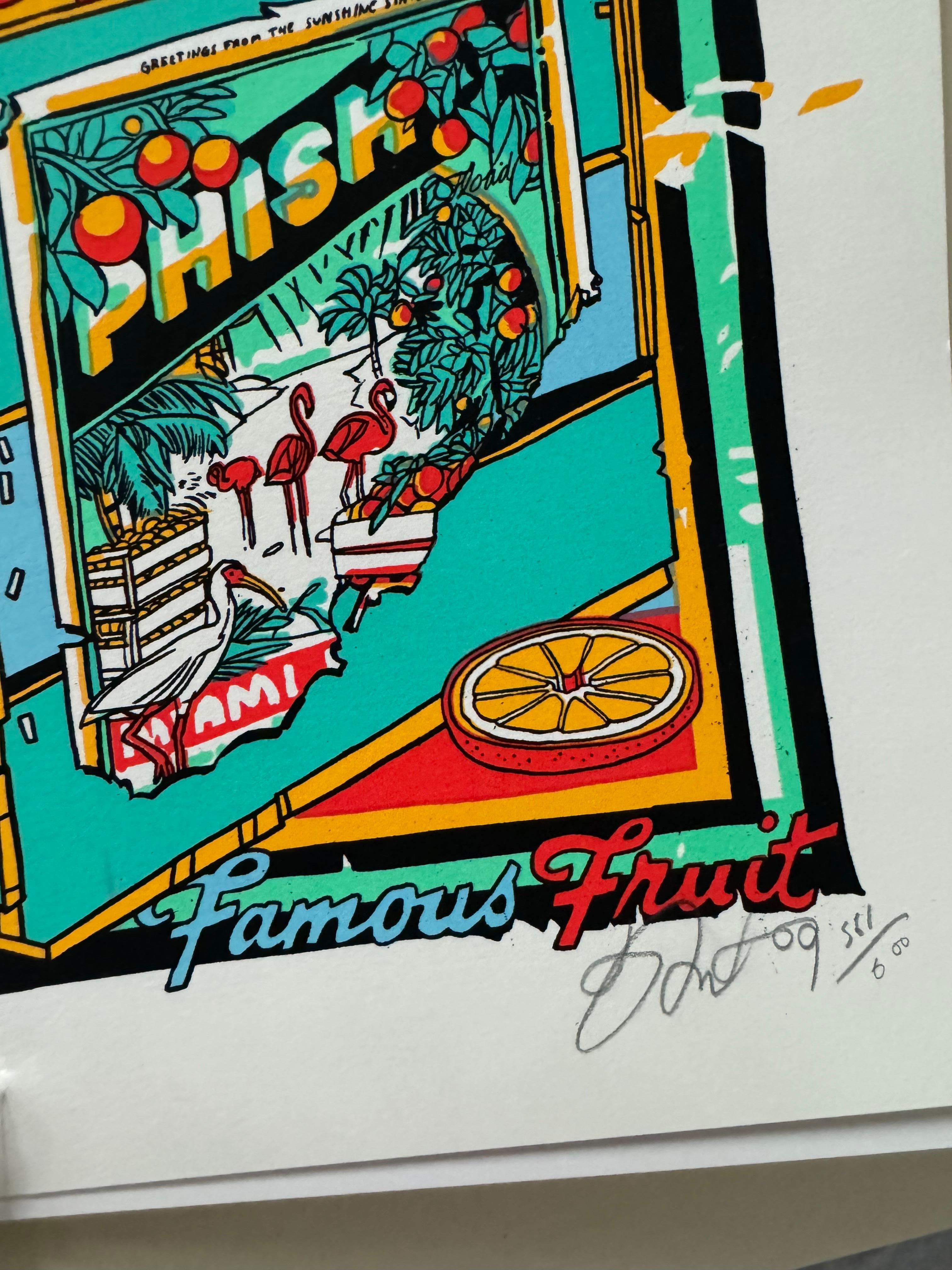 Tyler Stout for Phish Rare and Mint 2009 Teal Variant American Airlines Arena  For Sale 1