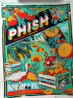 Tyler Stout pour Phish Rare et Mint 2009 Teal Variant American Airlines Arena 