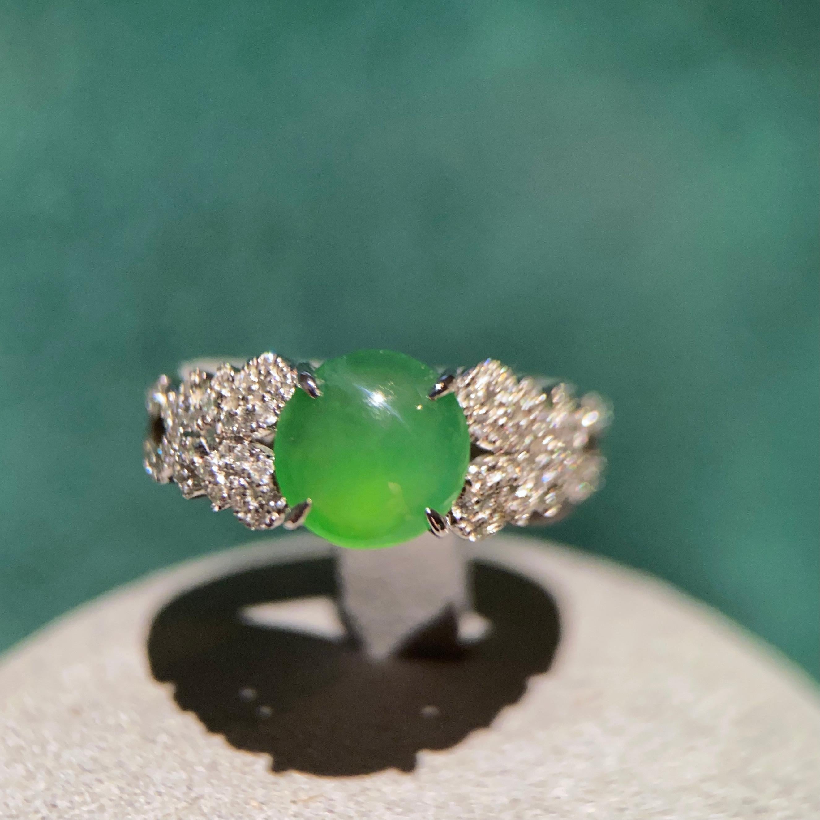 This is a classic design with Jadeite Cabochon being secured by 4 claws. on two side of the ring there are diamond pave and this classic design suits people of all age. The colour of the Green Type A Jadeite is very saturated and it is very sought