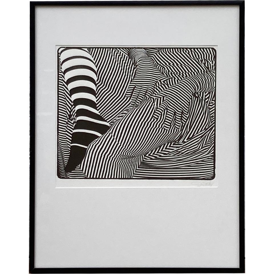 Types of Stripes, Portfolio of Signed Photo Lithographs by Jay Seeley In Excellent Condition For Sale In Lambertville, NJ