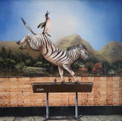 Zebra Striped Pommel Horse