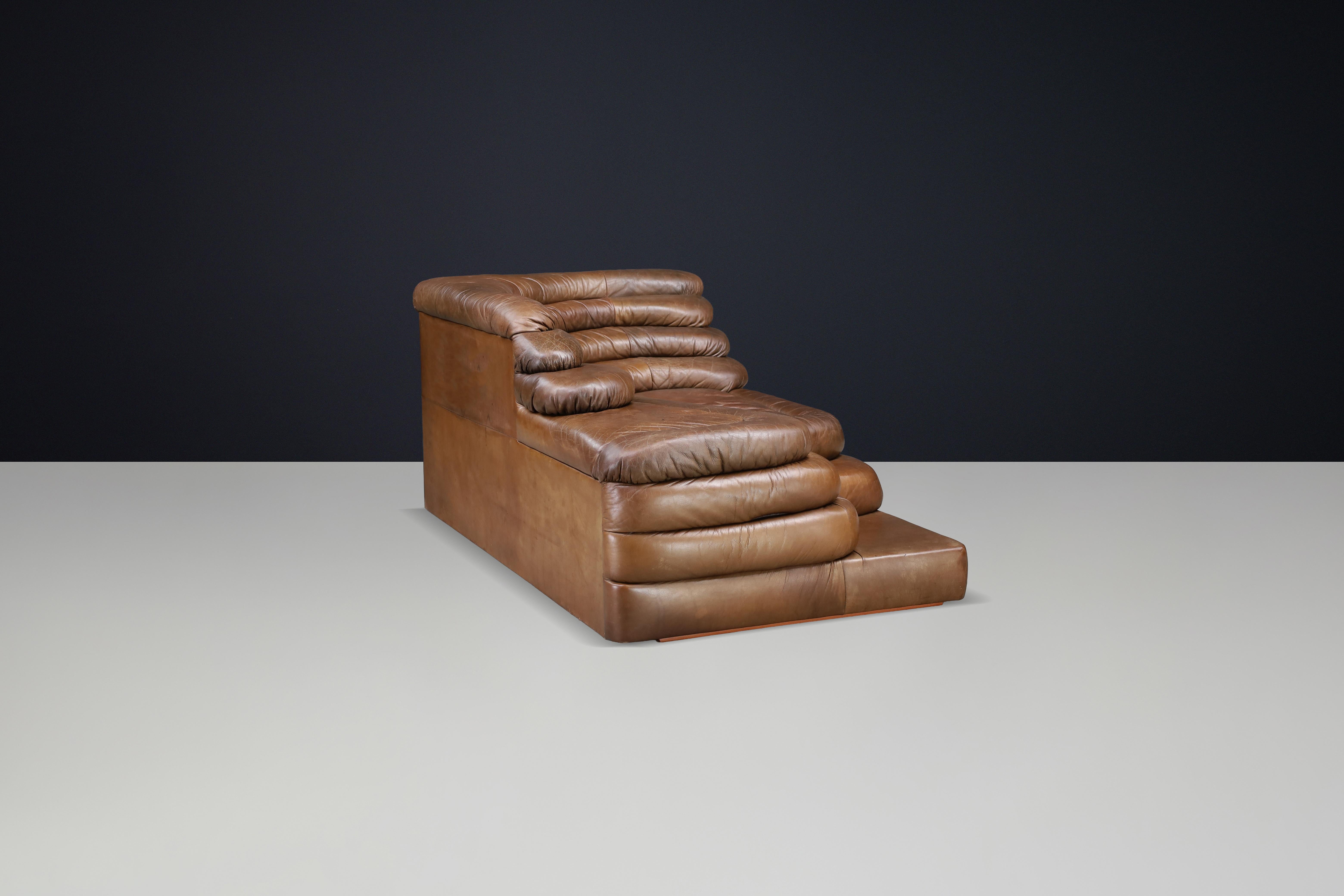 Ubald Klug für De Sede - DS-1025 