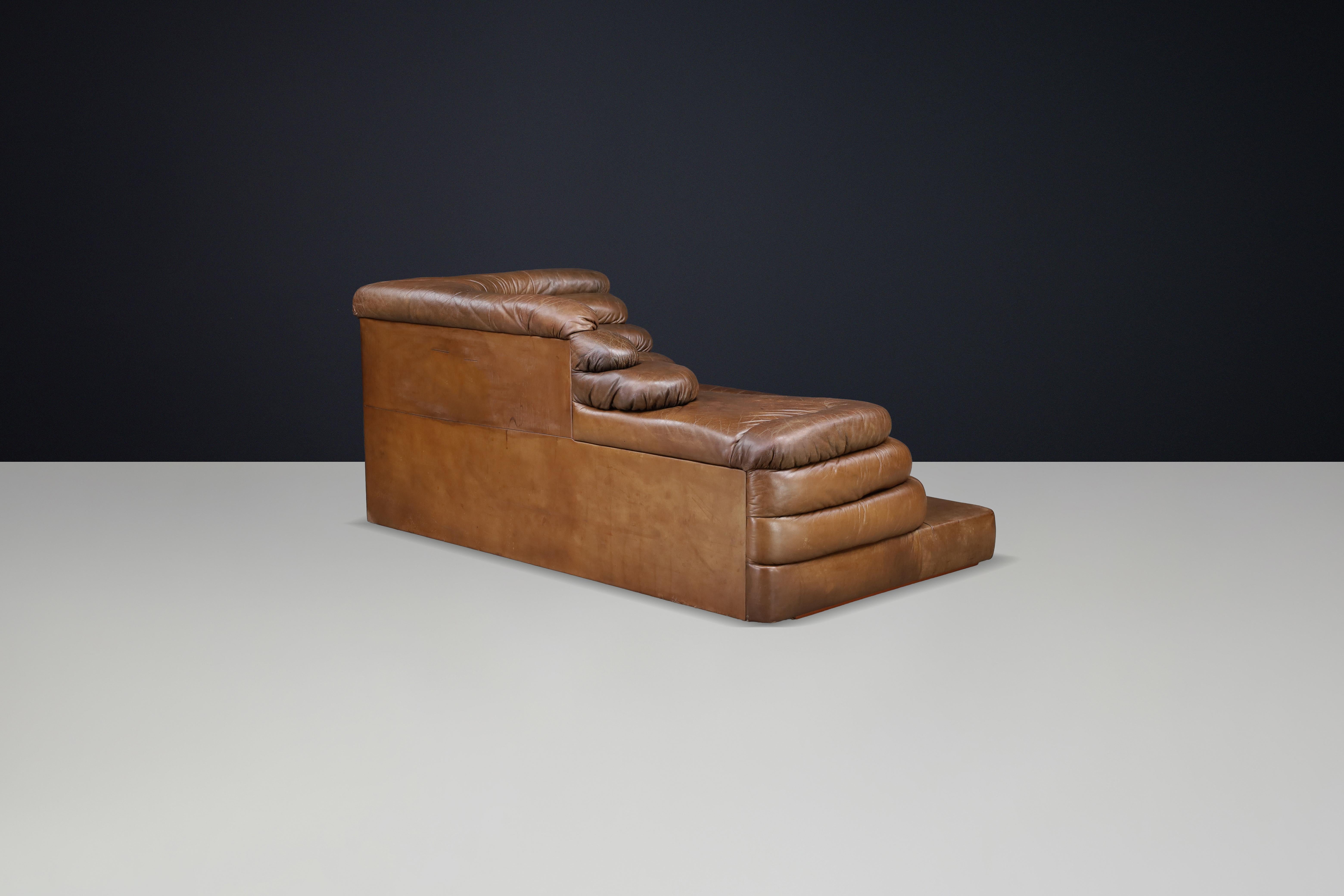 Ubald Klug für De Sede - DS-1025 