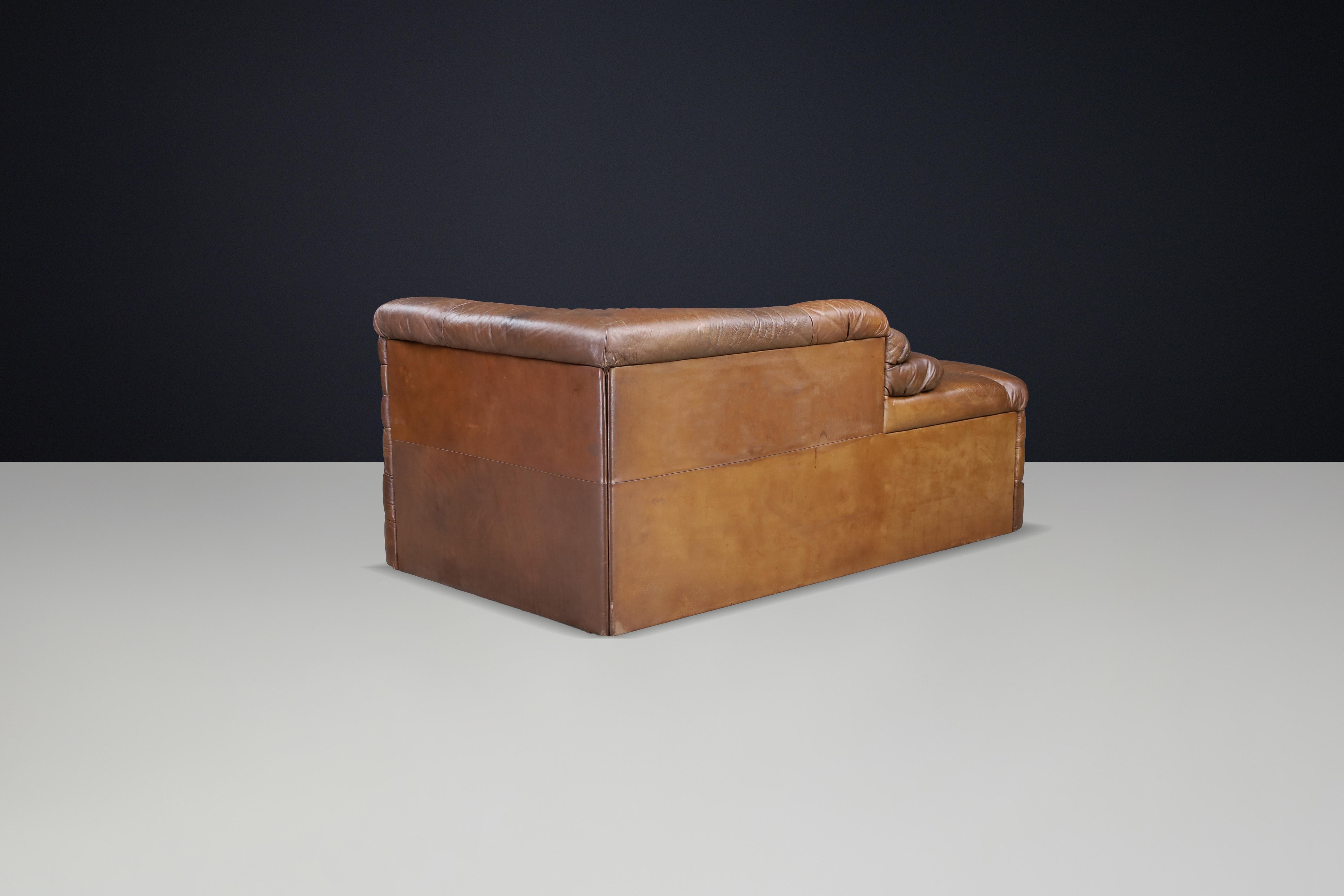 Ubald Klug für De Sede - DS-1025 