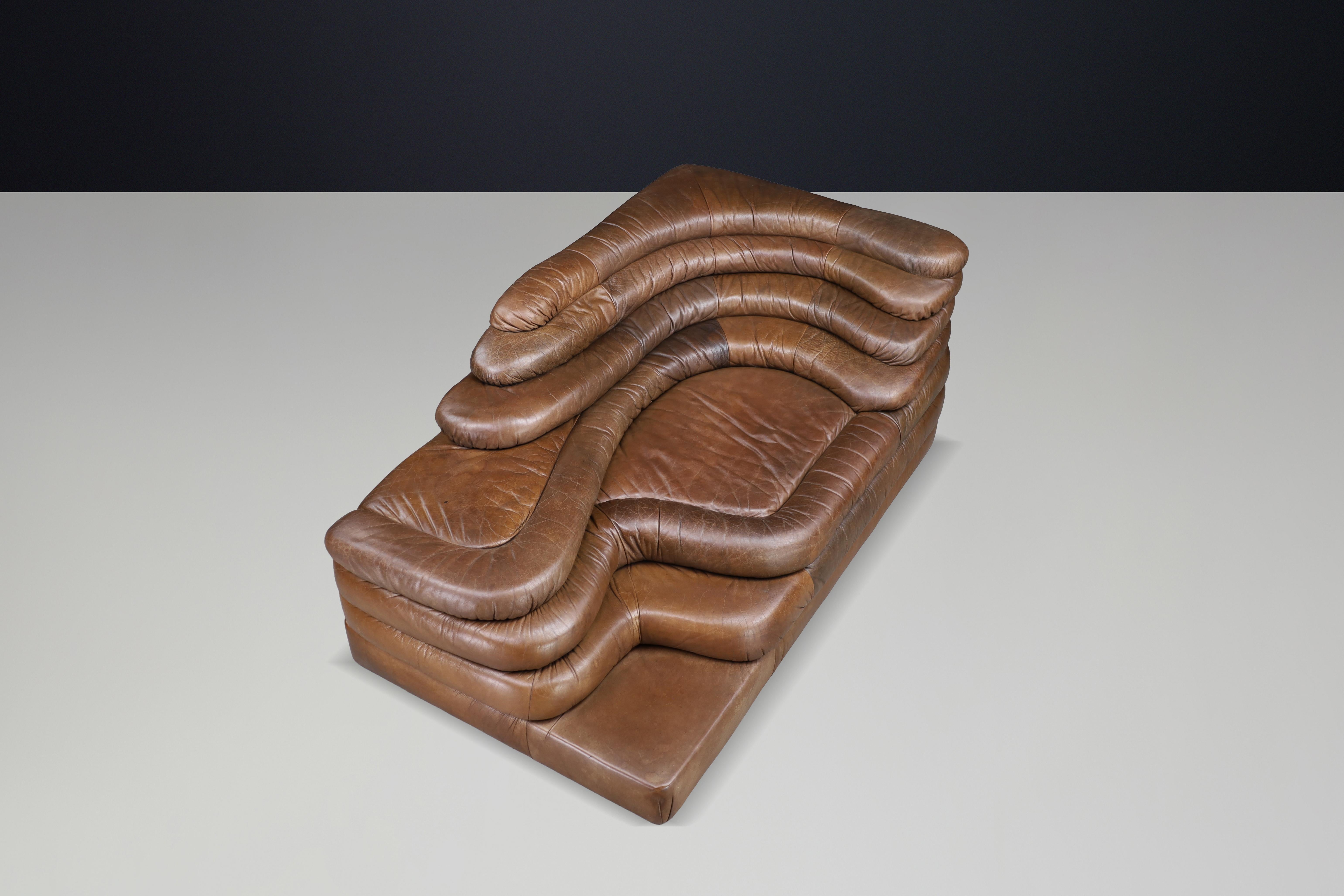 Ubald Klug für De Sede - DS-1025 