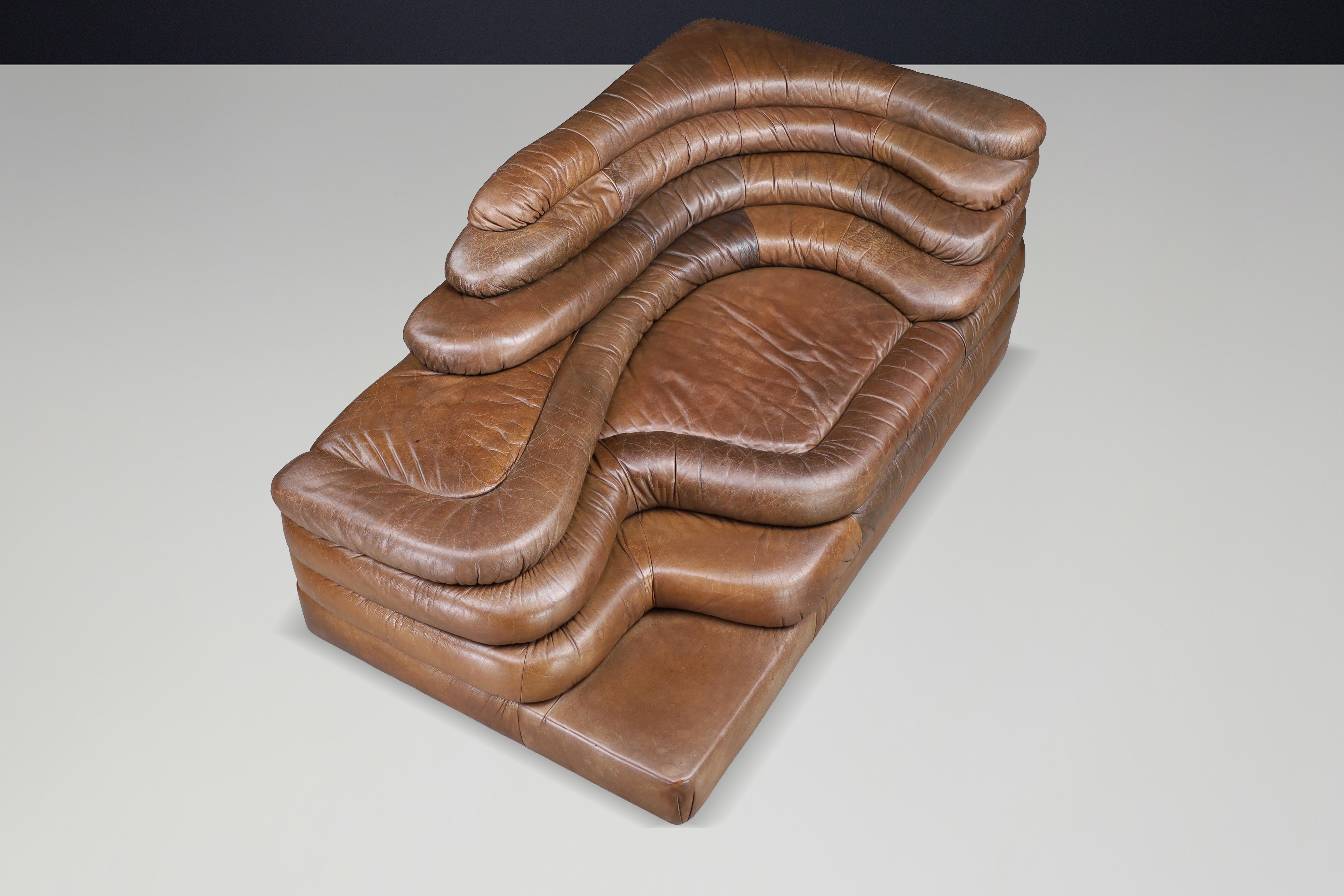 Ubald Klug für De Sede - DS-1025 