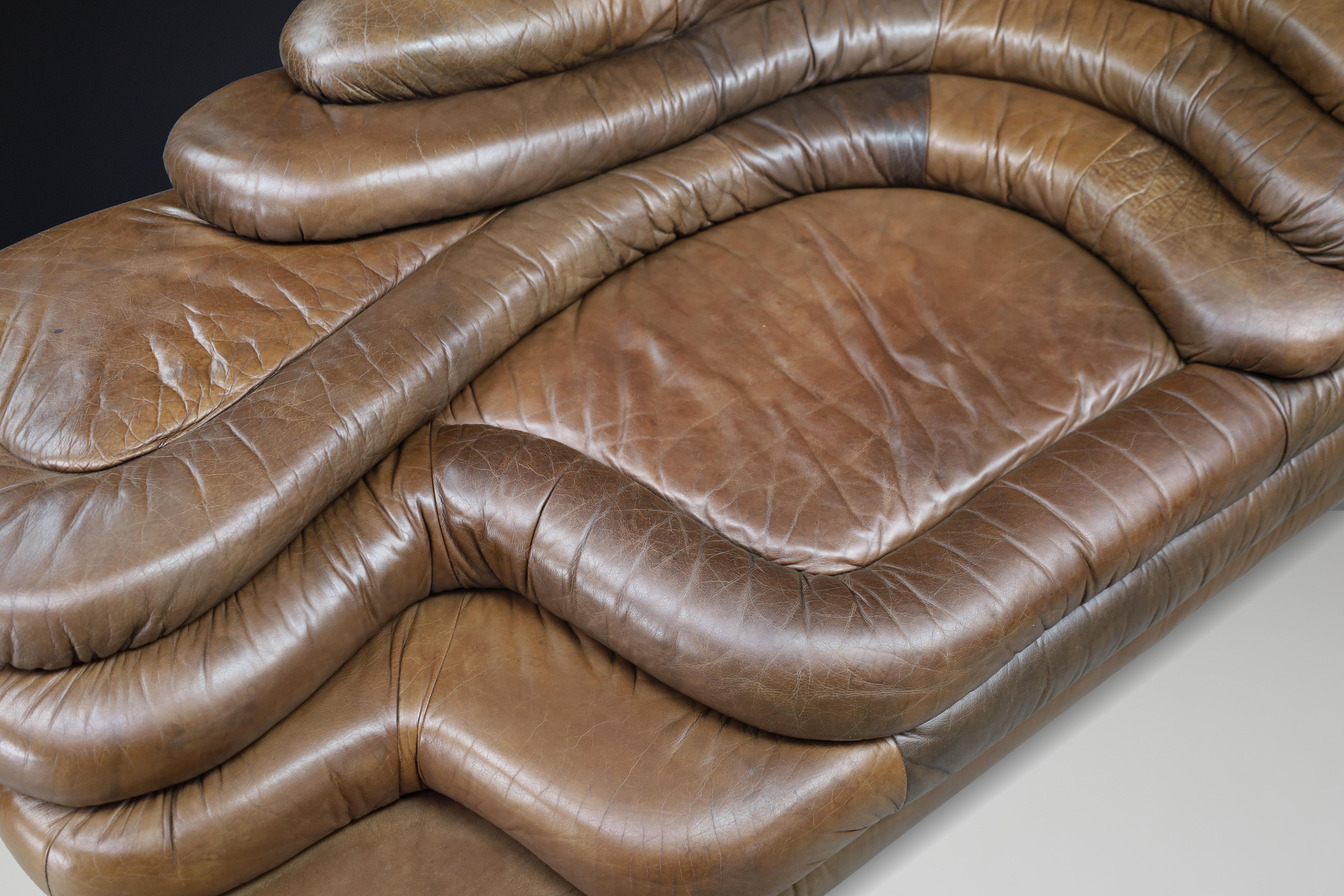 Ubald Klug für De Sede - DS-1025 