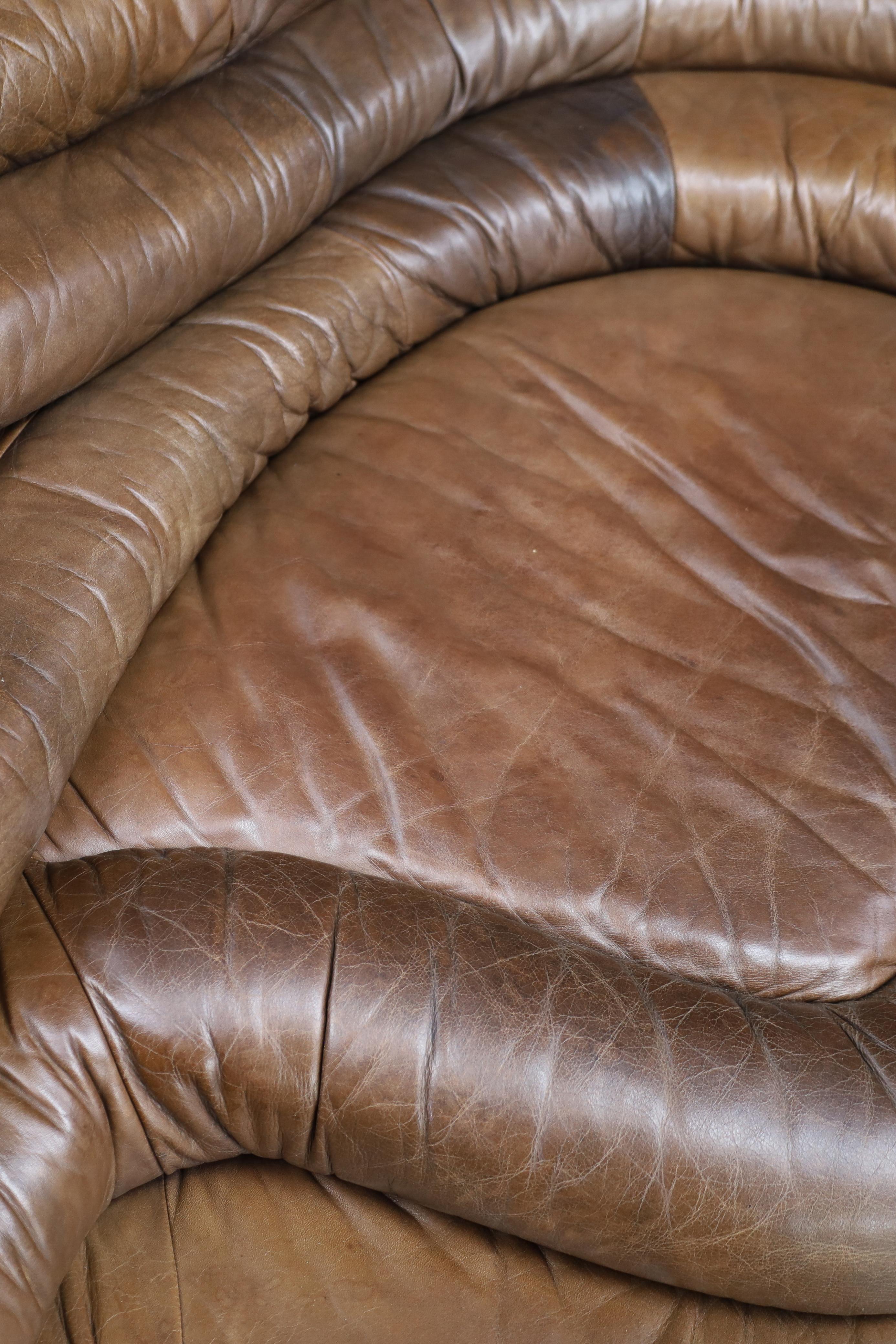 Ubald Klug für De Sede - DS-1025 