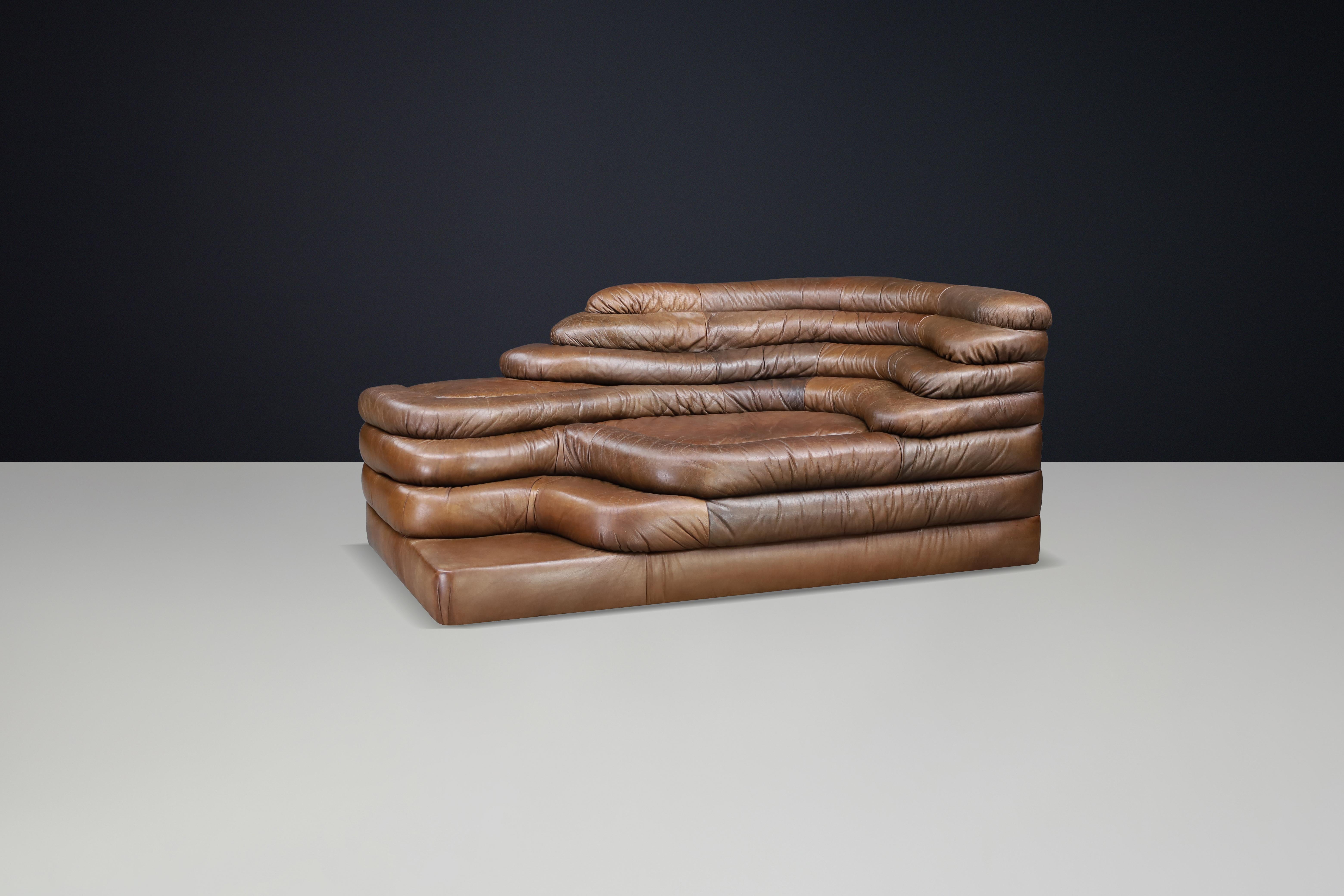 Ubald Klug für De Sede - DS-1025 