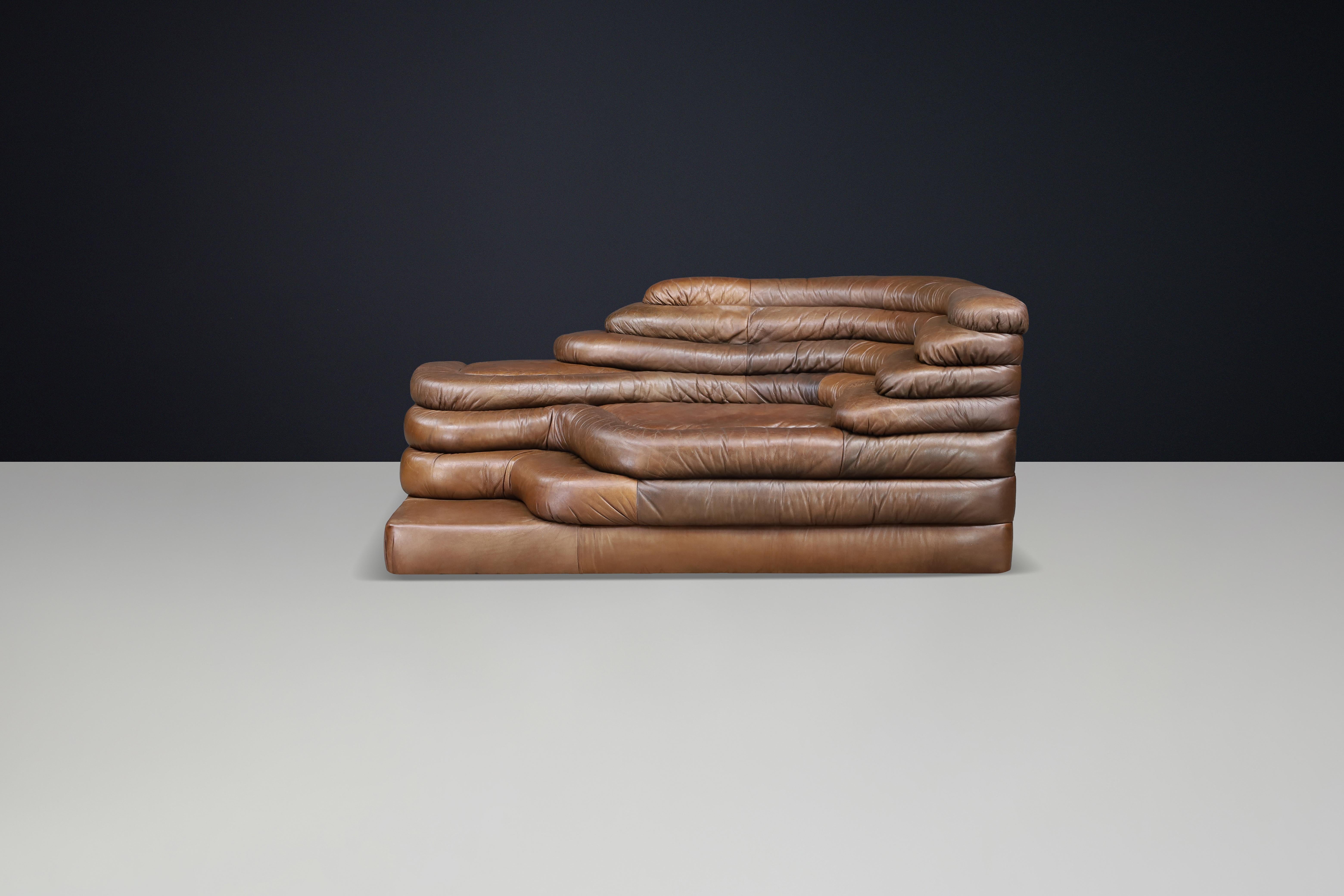 Ubald Klug für De Sede - DS-1025 