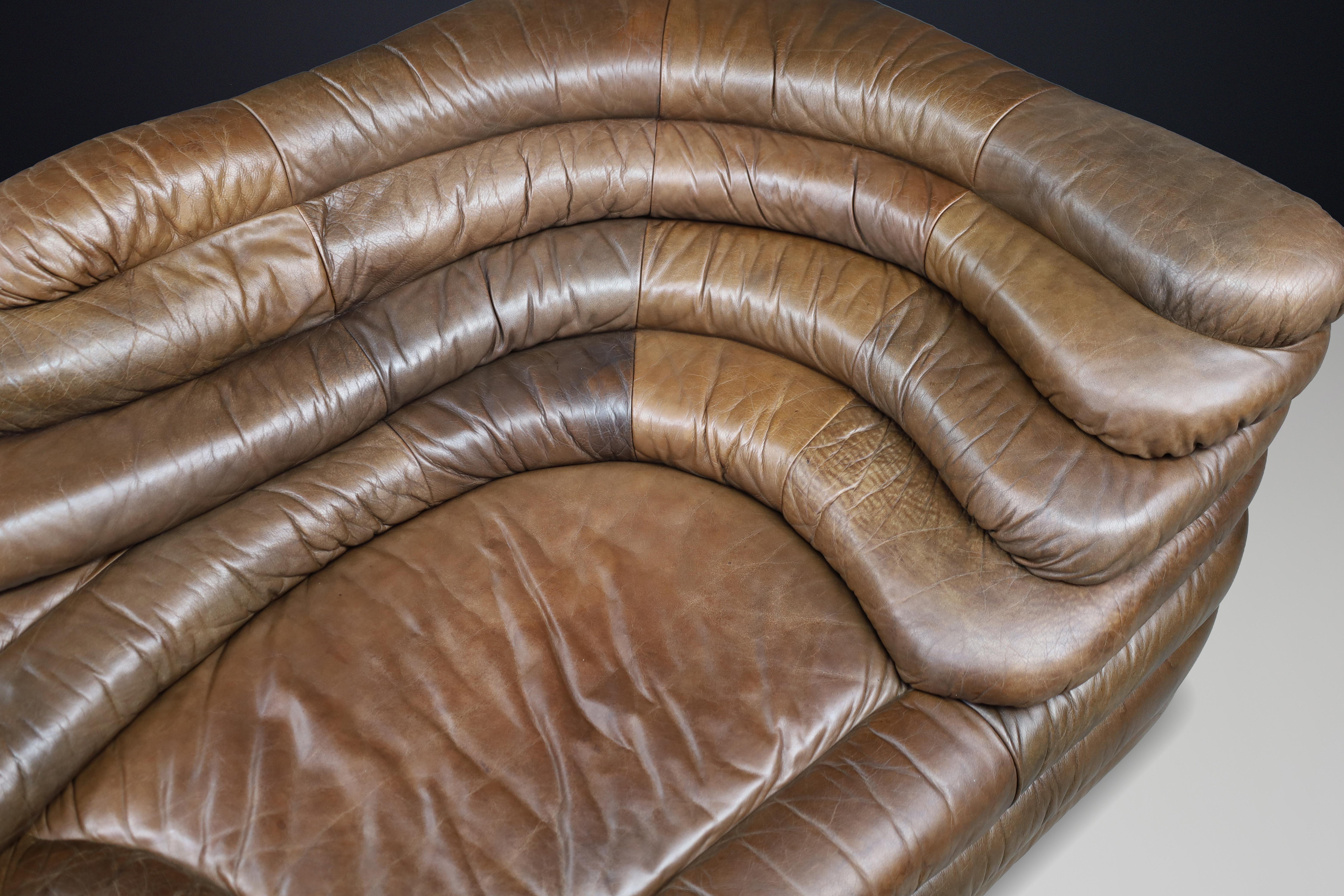 Ubald Klug für De Sede - DS-1025 