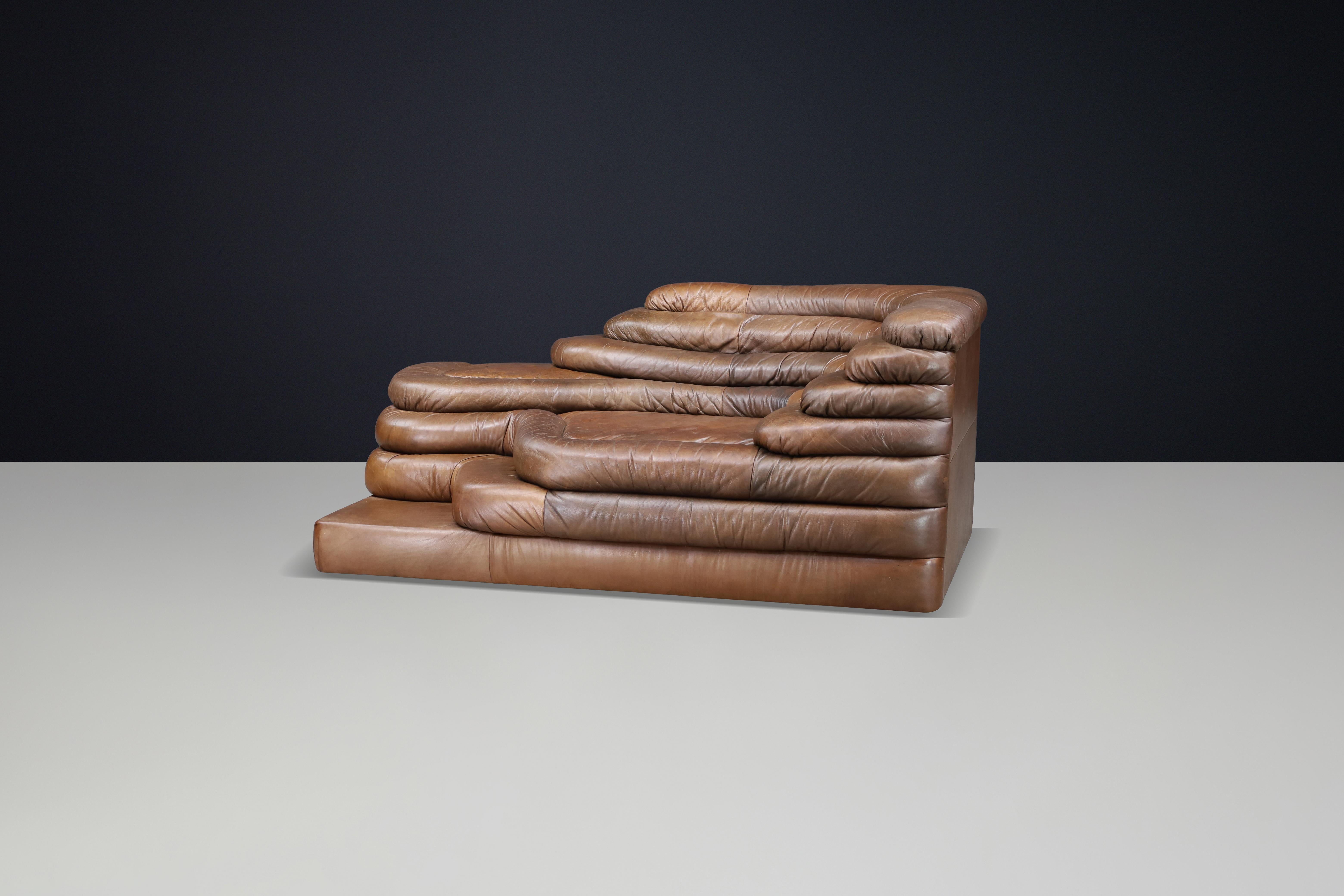 Ubald Klug für De Sede - DS-1025 